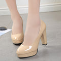 Women Pumps Fashion Leather High Heels Shoes - WeYone Marketplace Store